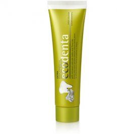 Ecodenta Extra pasta posilující zubní sklovinu příchuť Melon 100 ml