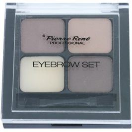 Pierre René Eyes Eyebrow paleta pro líčení obočí odstín 01 Brown 4,5 g