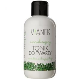Vianek Energizing normalizační tonikum pro mastnou a problematickou pleť s extraktem z přesličky pH 3,0 150 ml